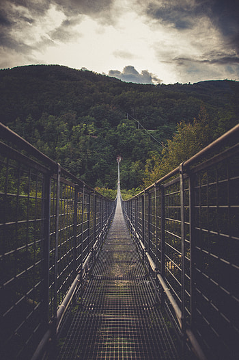 Nature, Trees, Clouds, Forest, Bridge, Direction, Suspension Bridge HD phone wallpaper