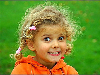 Cheez Baby, beautiful HD wallpaper