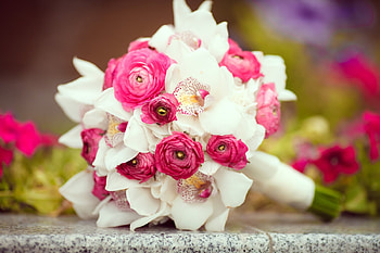 Bride bouquet, pink, white, bouquet, flower, ranunculus, orchid, bride HD wallpaper