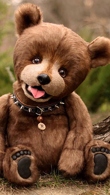 Teddy Bear Live, Brown, Toy HD phone wallpaper