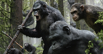 Planet of the Apes, Dawn film, , Background HD wallpaper
