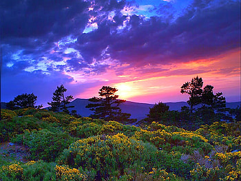 Colors of Nature, beautiful sunset HD wallpaper