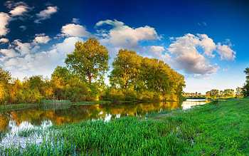 Landscape, grass, sky, nature, water HD wallpaper