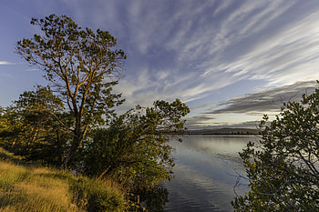 Nature, Clouds, Horizon, Lake, Branches HD wallpaper