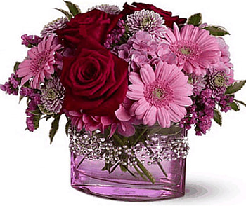 Flowers in Vase, pink, red, vase, beautiful, nature, flowers HD wallpaper