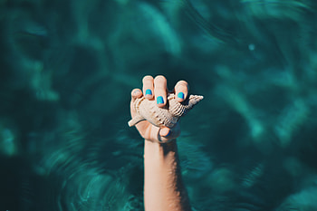 Water, Hand, Miscellanea, Miscellaneous, Fingers, Shell HD wallpaper