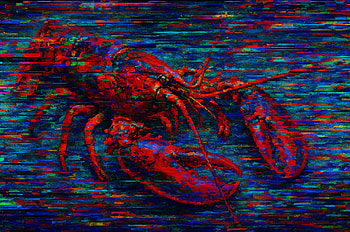 Vivid Lobster : Ocean’s Crimson Majesty, lobster, seafood, crustacean, ocean HD wallpaper