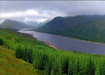 River, cool HD wallpaper