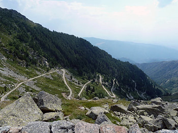 Mountain Road, evergreen, graphy, nice, mountain, Bulgaria, green, trees, road, nature, , forest HD wallpaper