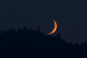 Moonset , moon, nature HD wallpaper