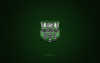 RC Relizane, Algerian football club, white logo, green carbon fiber background, Ligue Professionnelle 1, football, Relizane, Algeria, RC Relizane logo HD wallpaper