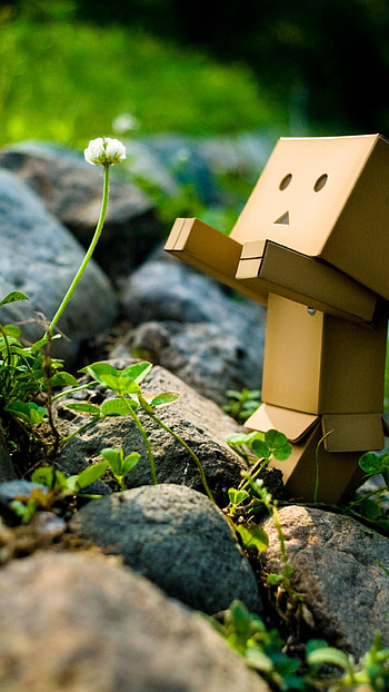 Unique, Cute Box HD phone wallpaper