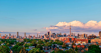 Cities, Clouds, Bush, City, Building, Tower HD wallpaper