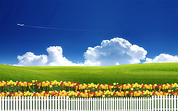 Tulips, Clouds, Miscellanea, Miscellaneous, Fence, Plane, Airplane, Serenity HD wallpaper