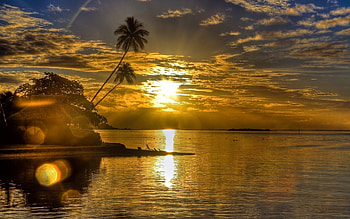 Beach Sunrise, reflection, palm, clouds, trees, nature, sunrise, beach HD wallpaper