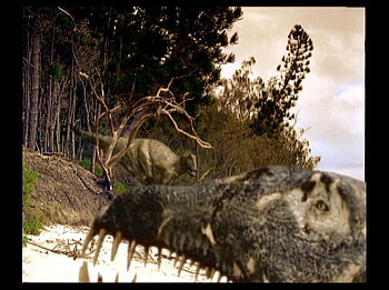 I CAN STILL BITE, a battle i can not win, but im fighting HD wallpaper