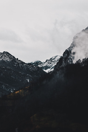 Landscape, Nature, Mountains, Forest, Fog, Alpine HD phone wallpaper