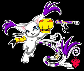 Gatomon, cat, digimon, anime HD wallpaper