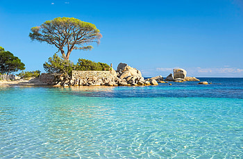 Corsica Island, Yacht charters, The complete guide HD wallpaper