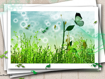 Green, , nature, butterfly HD wallpaper