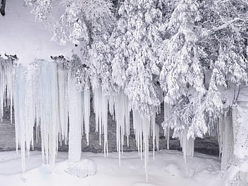 winter-scenes-1--18-, Winter, frost, white, snow, tree HD wallpaper