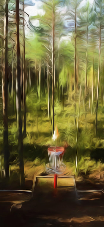 Disc golf forest, sport HD phone wallpaper