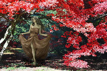 Autumn Beauty, women, Autumn, forest, Beauty HD wallpaper
