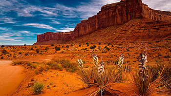 Sedona dessert, Arizona HD wallpaper