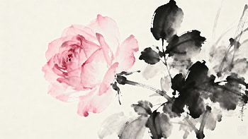 Pink Rose: Ink-Wash Blossom, Watercolor HD wallpaper