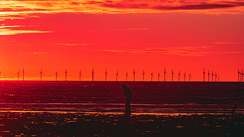 Silhouette Wind Turbines Sunset Horizon , windmill, sunset, horizon, artist, artwork, digital-art, alone, sad HD wallpaper