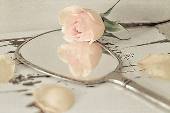vintage, mirror, rose, still life, abstract HD wallpaper