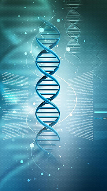 DNA , Molecular study, Scientific backgrounds, Genetic visuals HD phone wallpaper