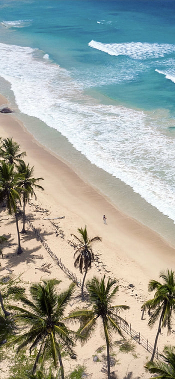 Dominican Republic, Best , Island getaway, Stunning beaches HD phone wallpaper