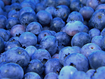 Food, Bilberries, Berries, Close-Up, Ripe HD wallpaper