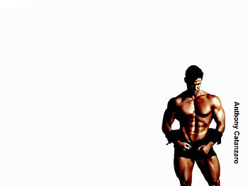 Bulk up, white, musscle, man, workout HD wallpaper