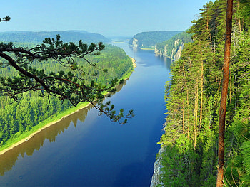 River Both side Forest, river, spruce, trees, sky, nature, forest HD wallpaper