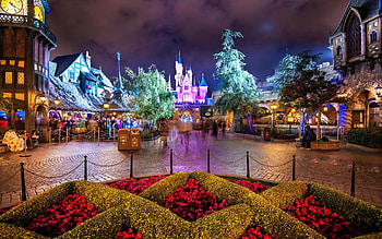 Disneyland, California, hoeses, place, r, flowers, castle HD wallpaper