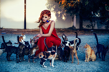 Girl In Red Dress Playing With Cats , girls, red-dress, model, cats HD wallpaper