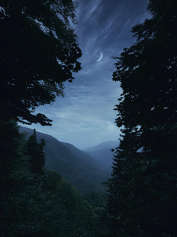 Landscape, Nature, Trees, Mountains, Twilight, Moon, Fog, Dusk HD phone wallpaper