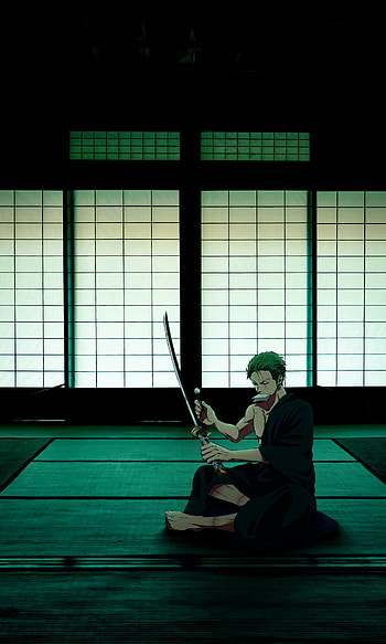 Roronoa, roronoa zoro, pirates, kaizoku, katana, luffy, mugiwara, swordsman, zoro, onepiece, anime, dojo, strawhats HD phone wallpaper