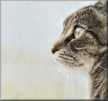 Just Looking, kitten, animal, art, ross, feline, cat, sueellen ross, painting, whiskers HD wallpaper
