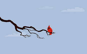 Sky, Clouds, Vector, Bird, Branch HD wallpaper