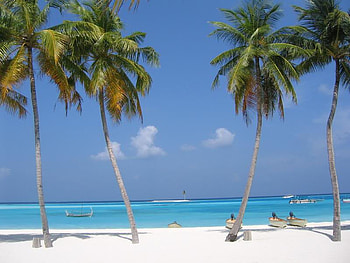 Tropical Beach, sand, water, ocean, beach HD wallpaper