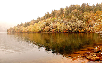 AUTUMN RIVER BANK, river, autumn, colors, calm HD wallpaper