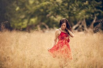 Beauty in Red, graphy, brunette, girl, red dress, beauty, woman, field, wheat, red, nature, female HD wallpaper