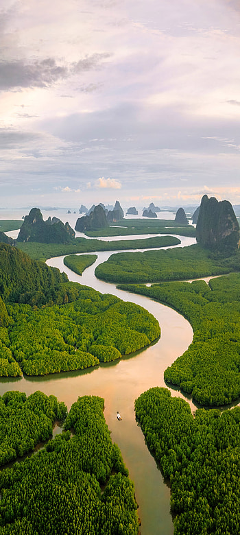 Mangrove forest in Phang Nga Bay, Andaman Sea, Thailand, nature, landscape HD phone wallpaper