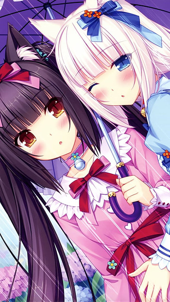 Nekopara, sanat, pembe, anime HD phone wallpaper