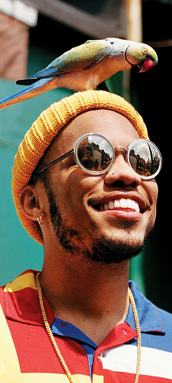 Anderson. Paak, Musical talent, Genre-blending sound, Celebrated artist HD phone wallpaper