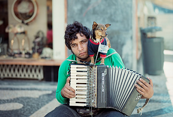 Man wearing green, Shirt playing accordion, Playing accordion with, Accordion with tan HD wallpaper