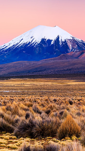 Bolivia, Sunrise, Parinacota Volcano, National Park HD phone wallpaper